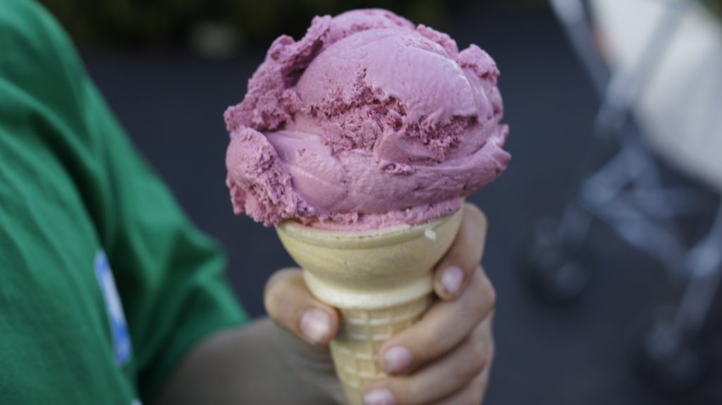 Shaw's Ridge Ice Cream - Black Raspberry