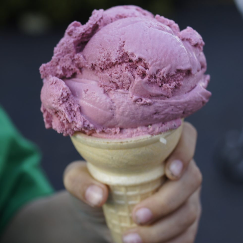 Shaw's Ridge Ice Cream - Black Raspberry