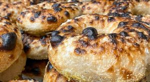 Rover Bagel - Plain Bagel